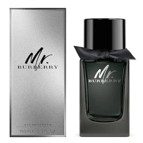 Burberry Mr Burberry EDP 100ml