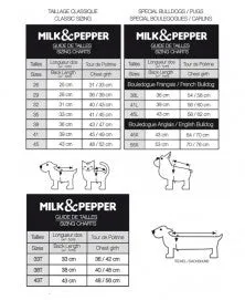 MILK & PEPPER Morgan T-Shirt